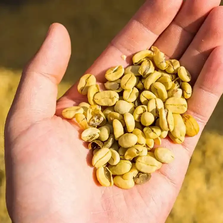 pexels-4sd4spective-1835589-3421647 - 75.jpg_11zon