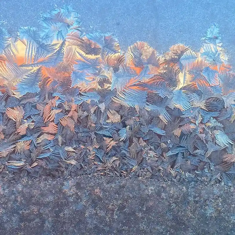 How to protect your coffee machine from cold and frost