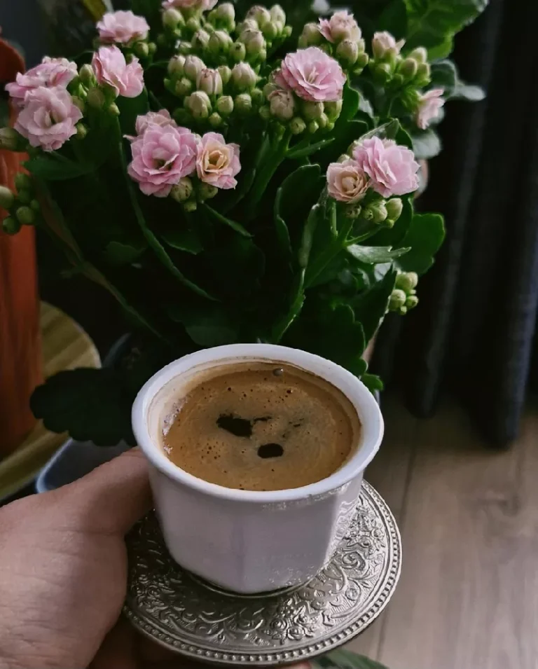 Підписка на каву